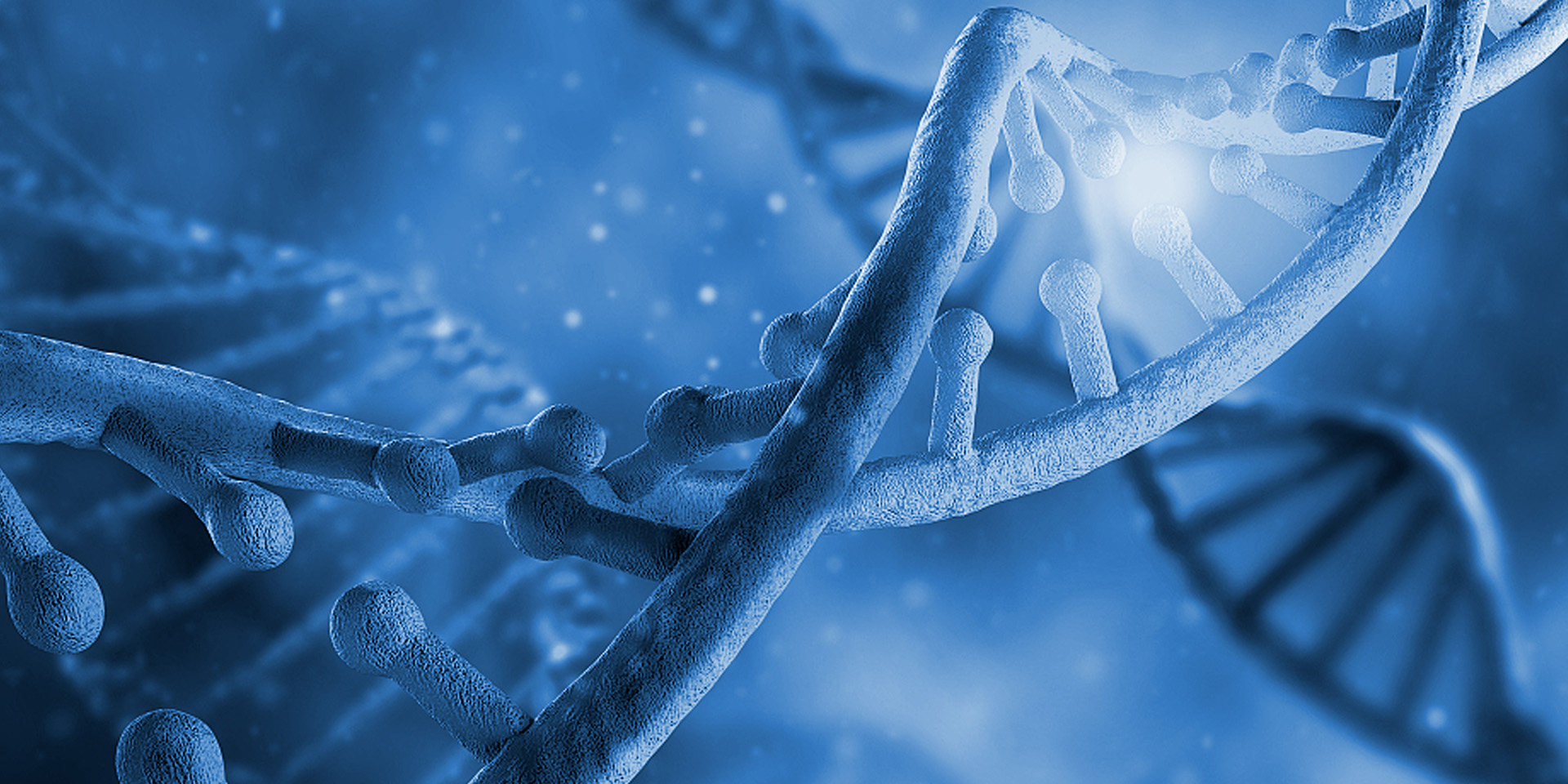 上?？评鹂? data-src=